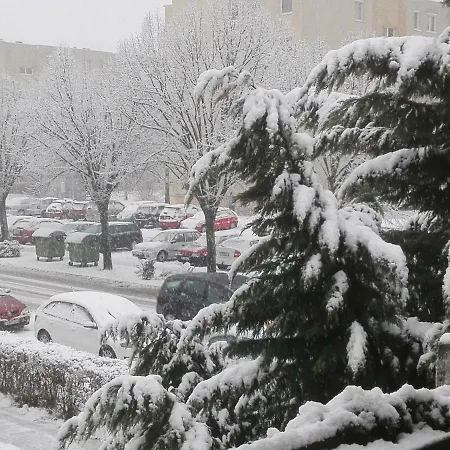 Furedi Piheno Apartament *