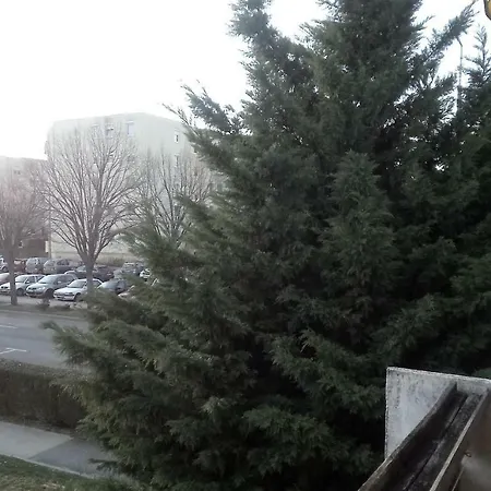 Apartament Furedi Piheno *