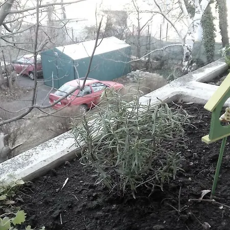 Apartament Furedi Piheno