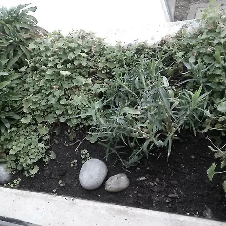 Apartament Furedi Piheno Balatonfüred