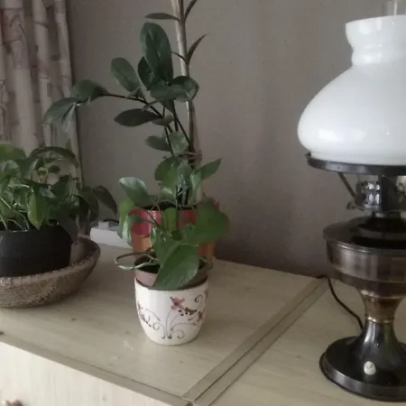 Furedi Piheno Apartament *
