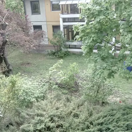 Furedi Piheno * Balatonfüred